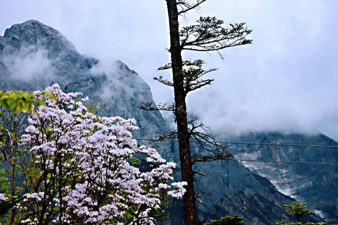 瀘沽湖旅游