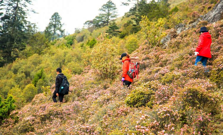 麗江石頭鄉(xiāng)桃花村戶外徒步路線